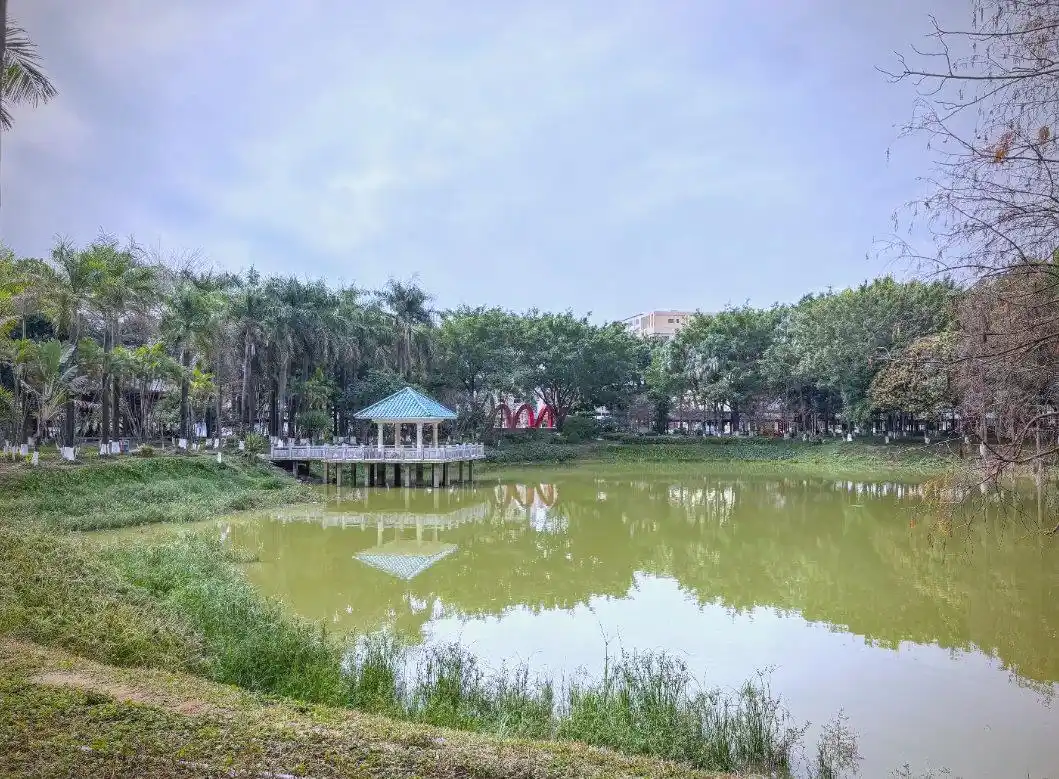 园洲学生快餐现象调查,500元3小时背后的消费逻辑与教育反思