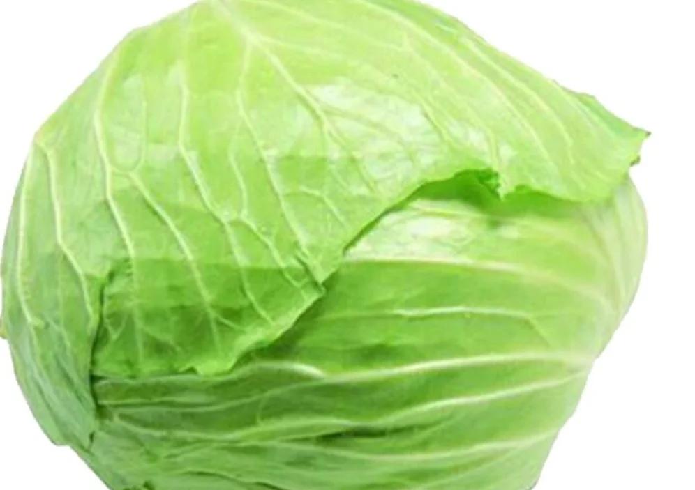 圆白菜的功效与作用 圆白菜和包菜的区别是什么