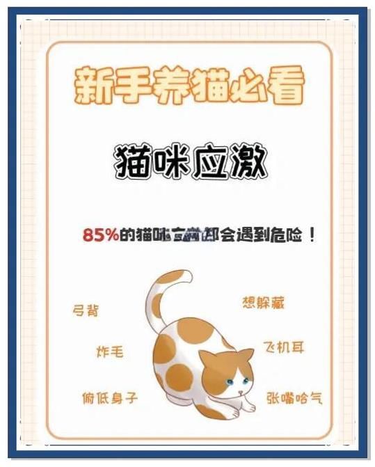 家里的猫主子为什么不怕蛇?...