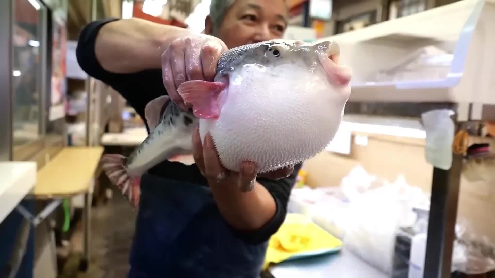 什么鱼是有毒的？河豚毒素到底有多危险？