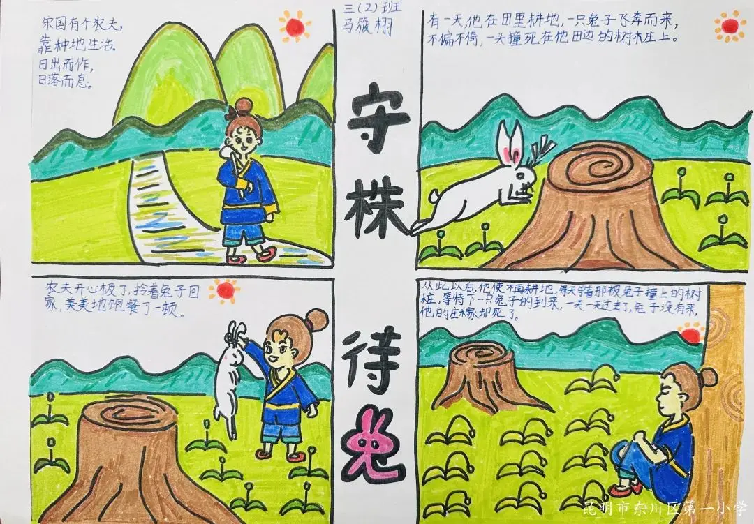肥猪图片