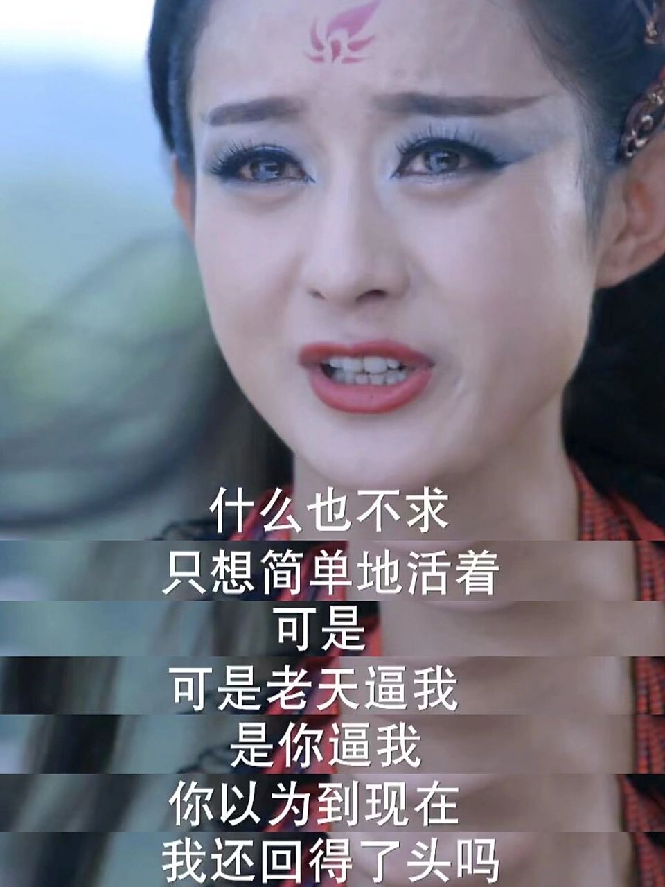 四川成都花千骨论坛:追剧迷的聚集地与文化交流平台