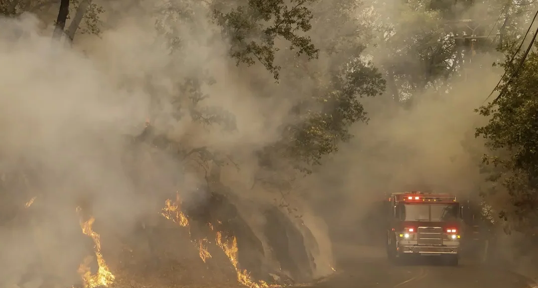 西昌森林大火蔓延危及市区，为什么林火总是难以扑灭？...