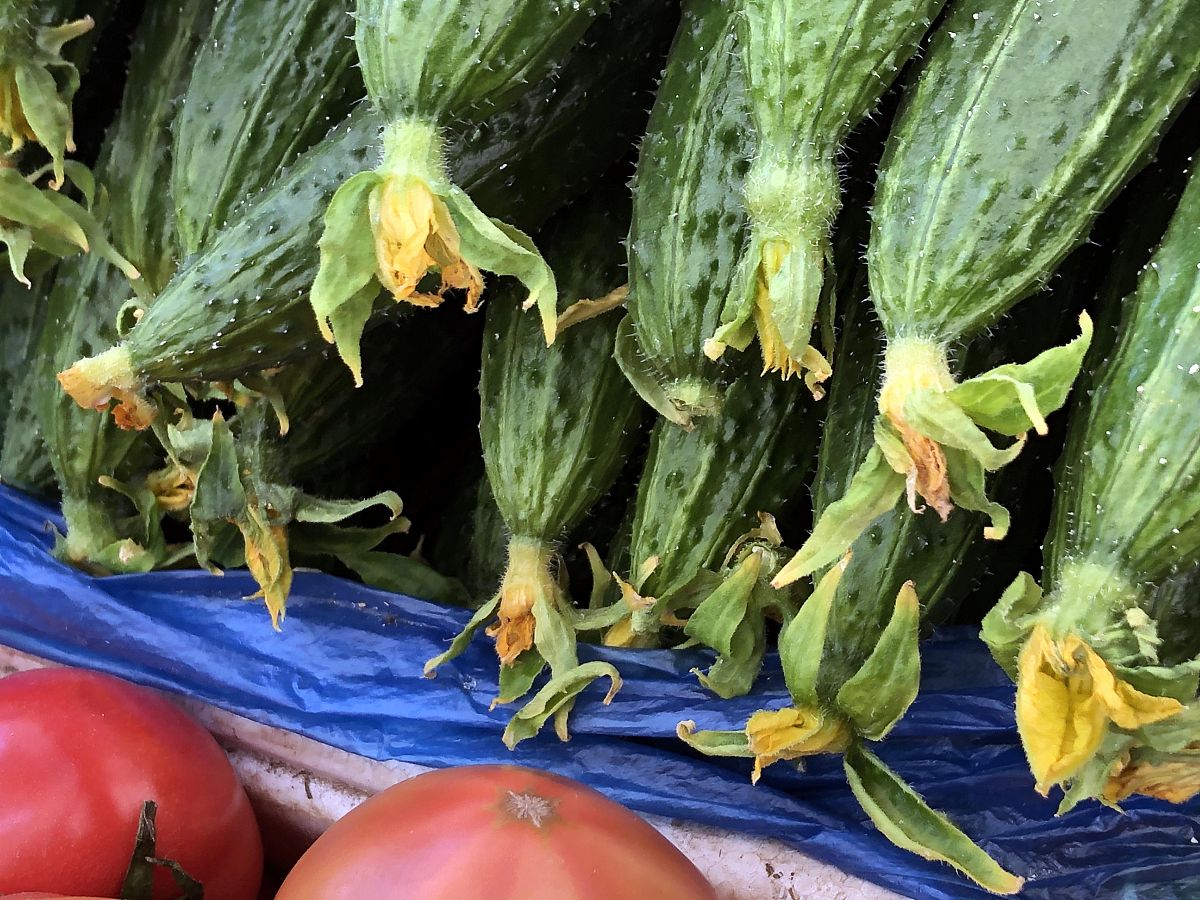 朋友圈谣言识别技巧 食品安全谣言防范指南