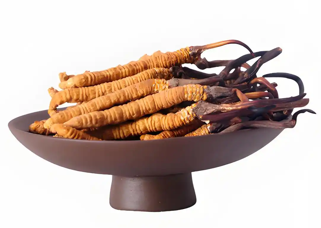 人工培育真的不如野生的好吗?...