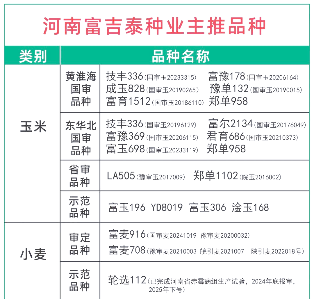 高产玉米品种有哪些 7月种玉米选择哪个品种最好