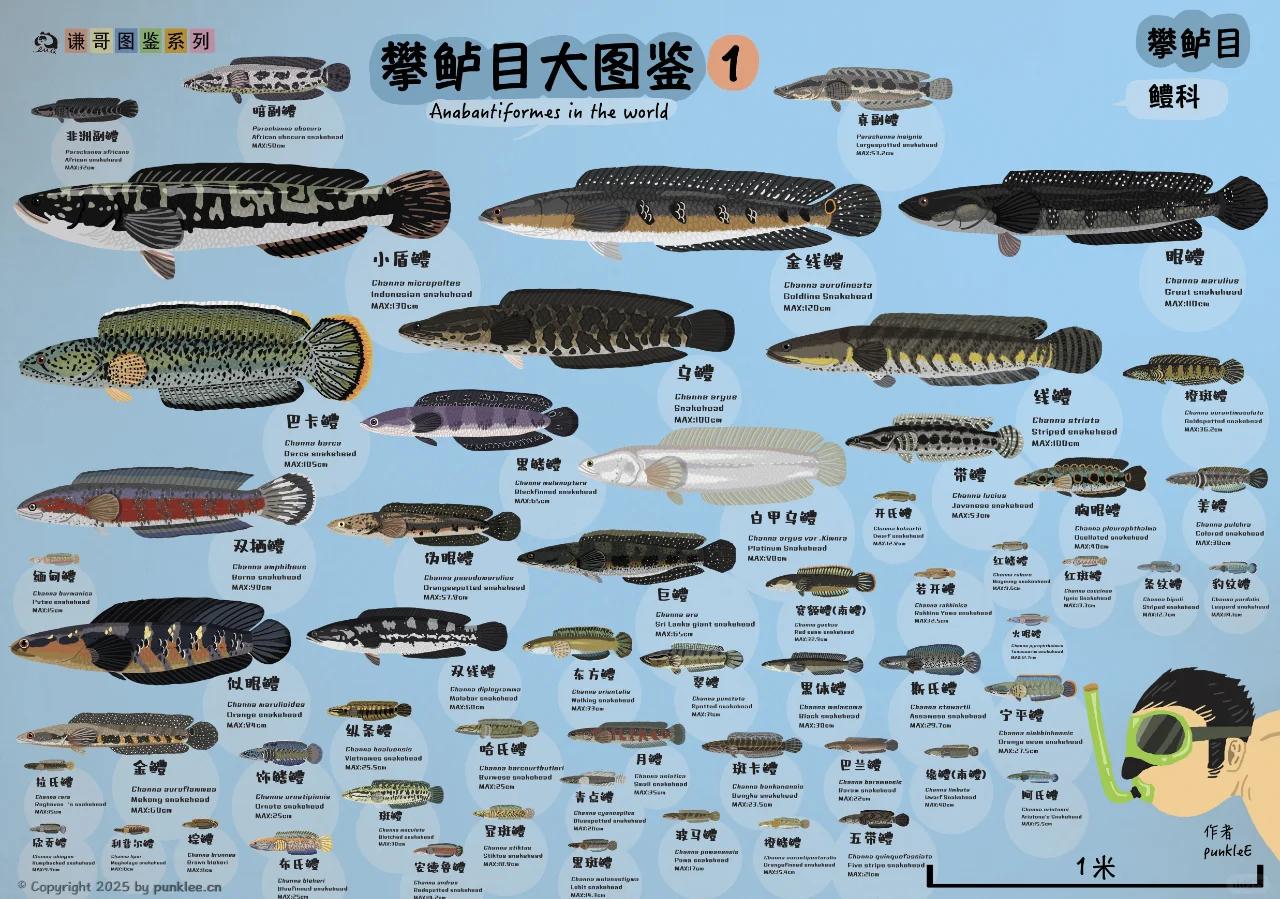 廊坊火车站附近小巷子的城市记忆与生存图鉴