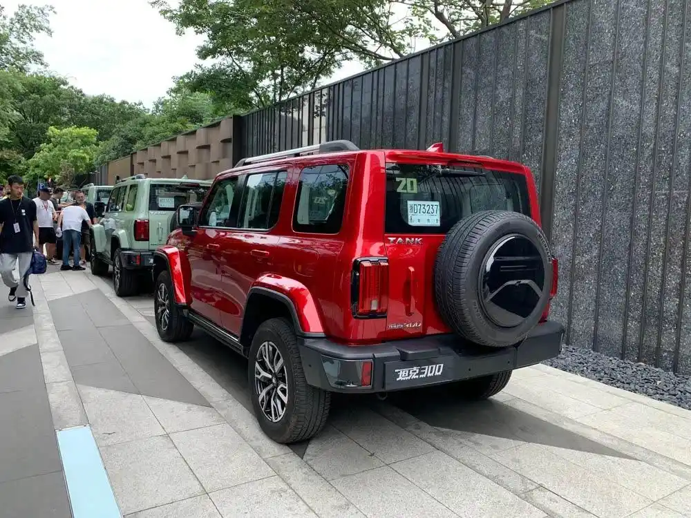 临沧小妹300联系电话