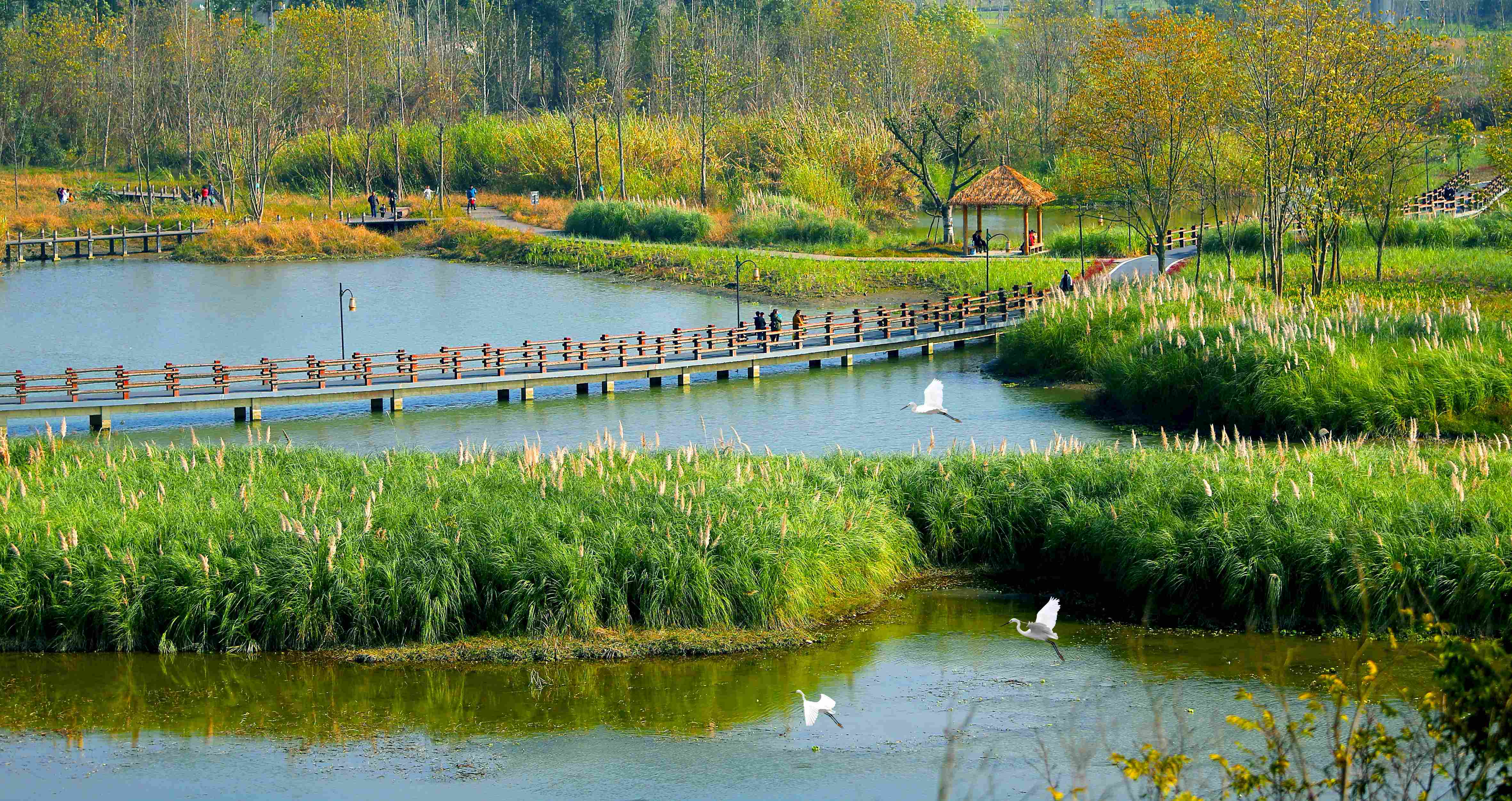 生态旅游成功案例 桂林市中国旅行社有哪些成功经验