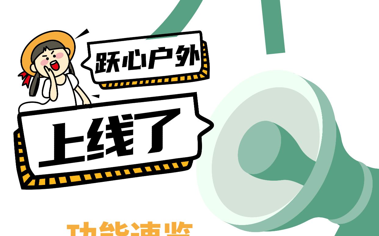 网络整合营销成功案例