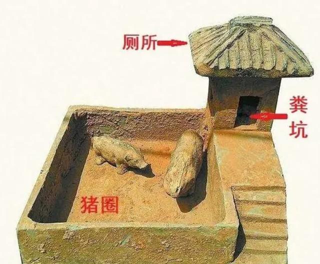 印度普及厕所放大招:户外如厕就让你难堪?...