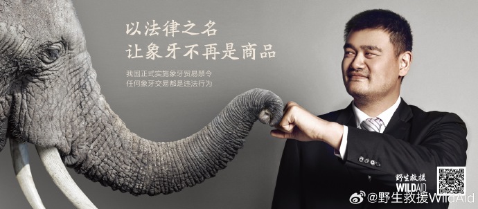 长颈鹿没有象牙和犀角,为什么也被人捕杀?...