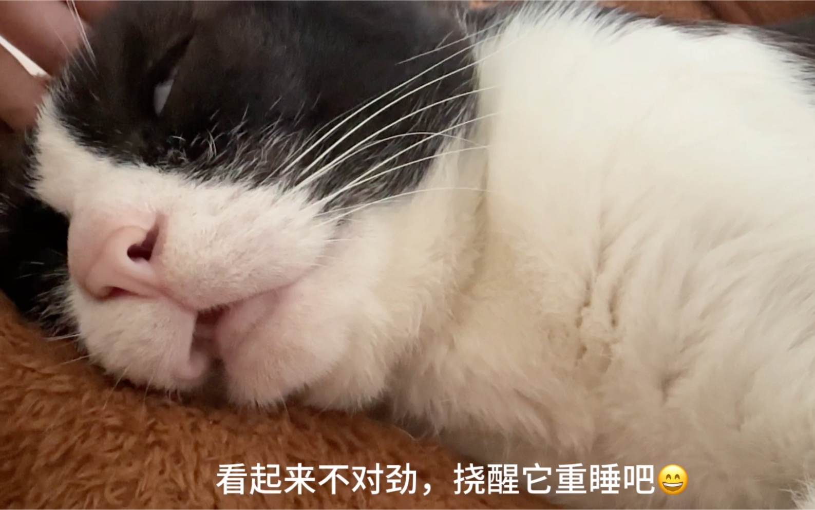 哪种睡眠姿势最容易做梦 聋哑人睡梦中会用手语打招呼吗