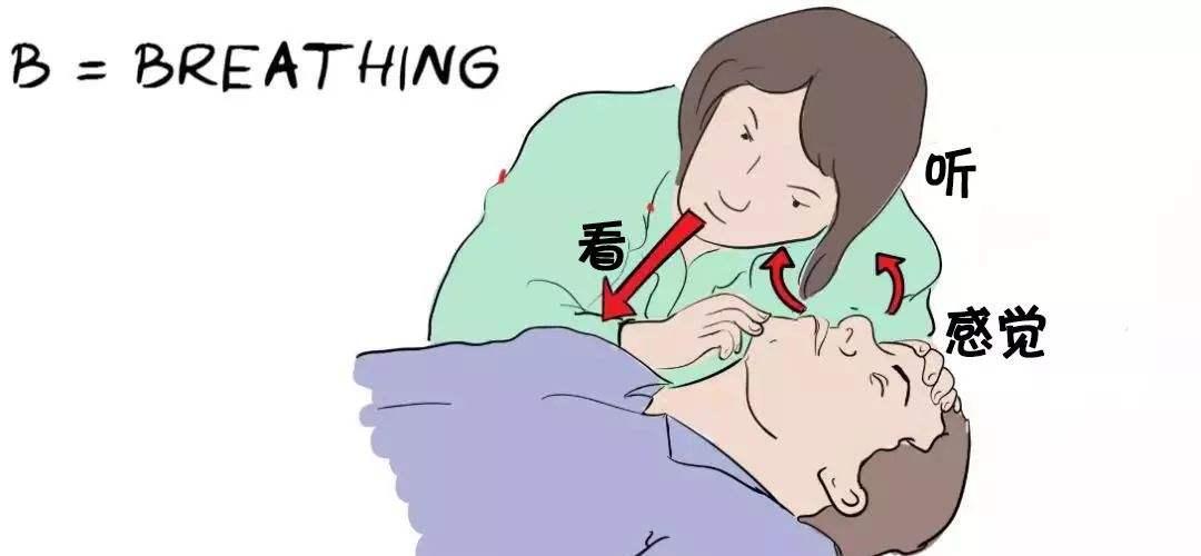 是什么导致了人类的五官的退化?...