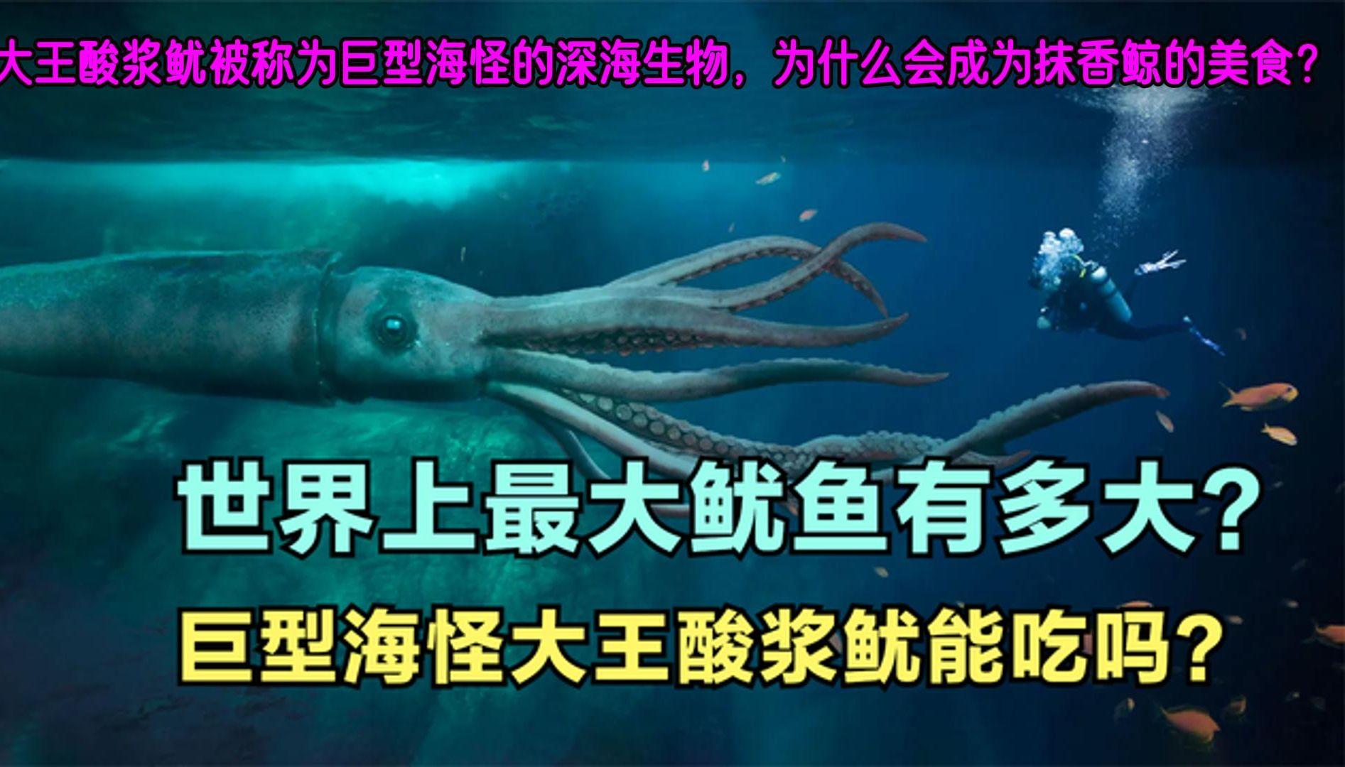 重达两吨并以大象为食,科学家发现的史前新物种,庆幸...