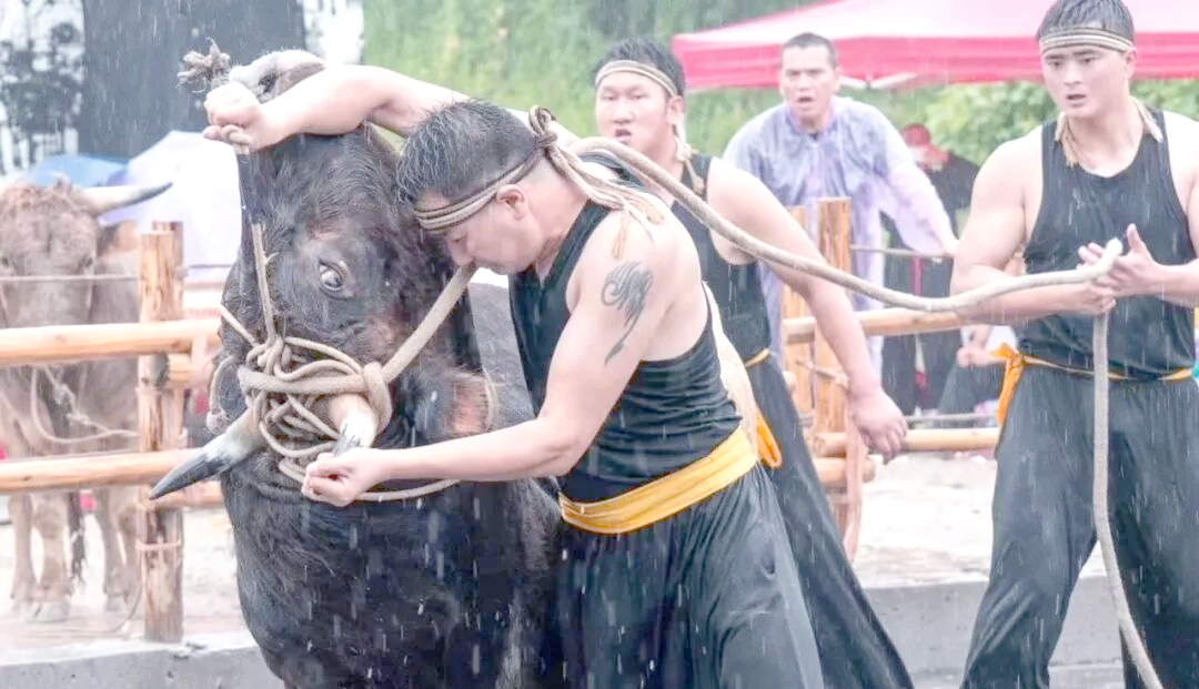 成为一名斗牛士是一种什么经历?...