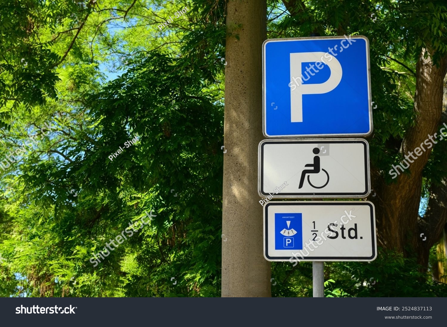 disabled什么意思