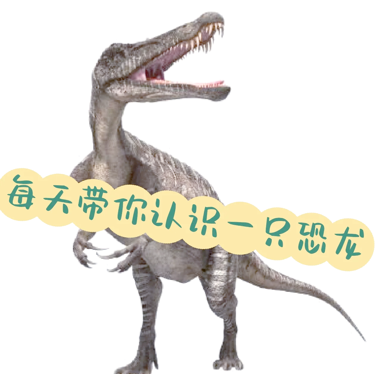 世上还有恐龙吗 最大的恐龙是什么类别