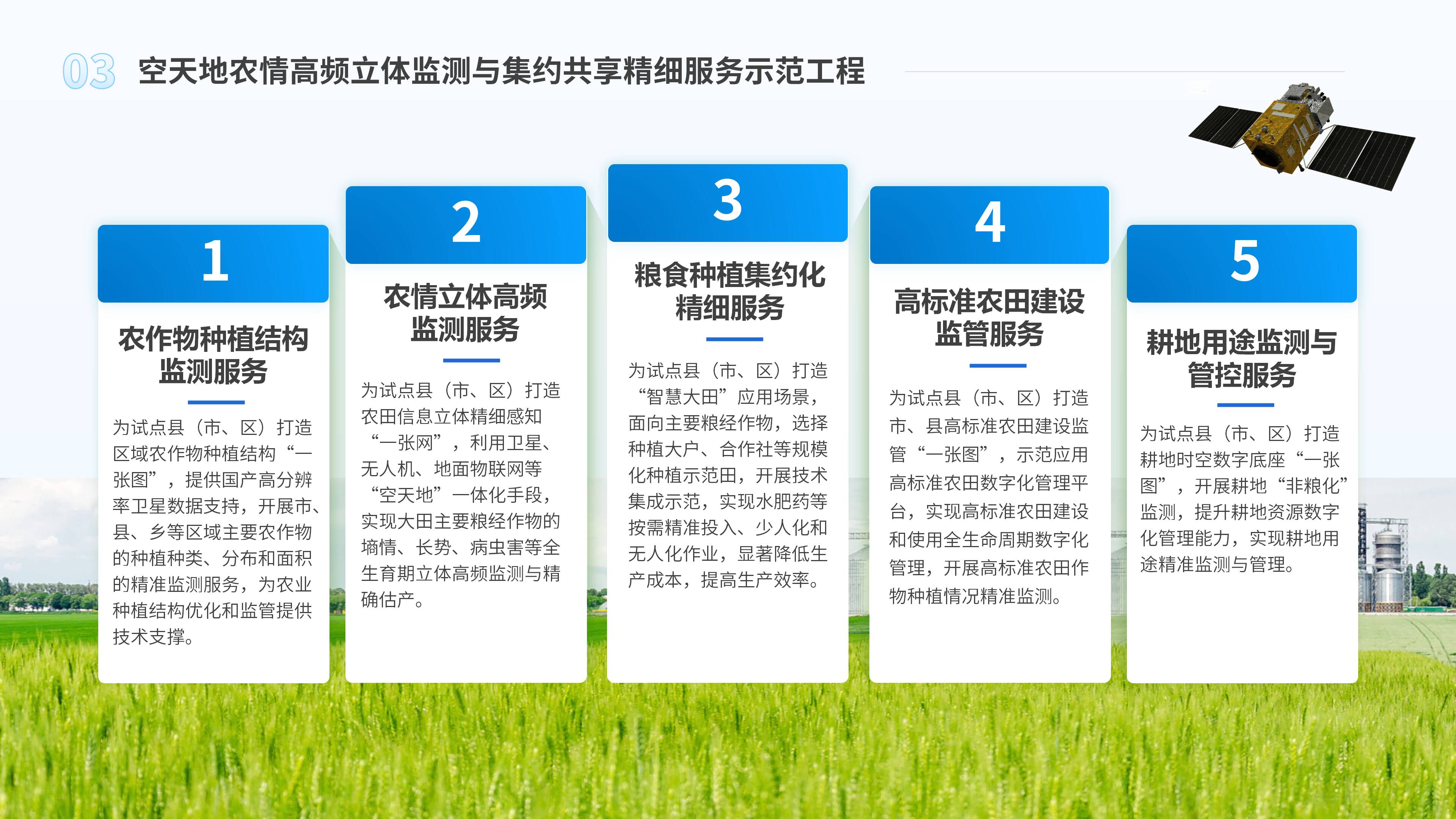 山东农业