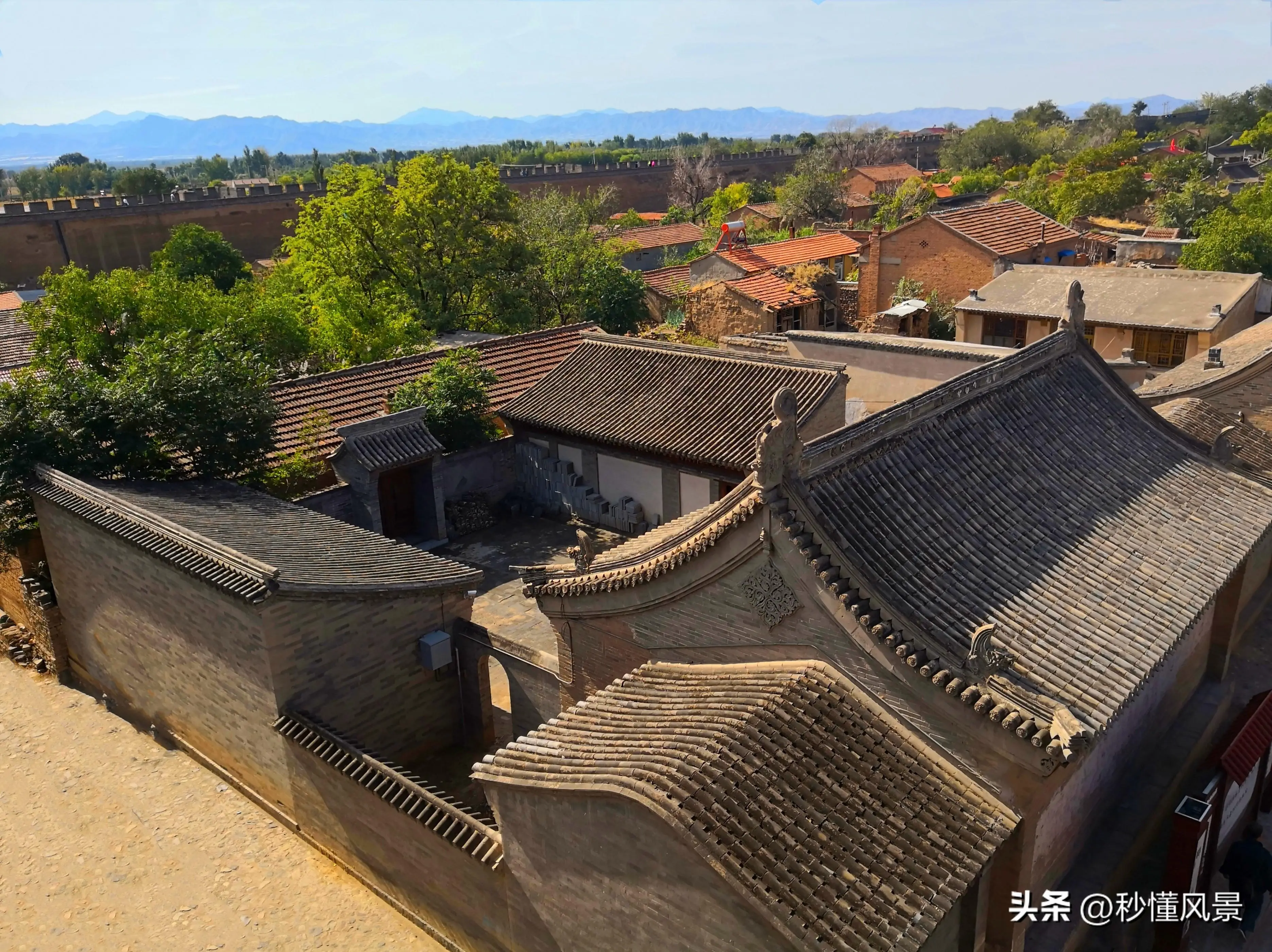 50米内有鸡窝的巷子叫什么_揭秘市井文化中的'鸡鸣巷'生态