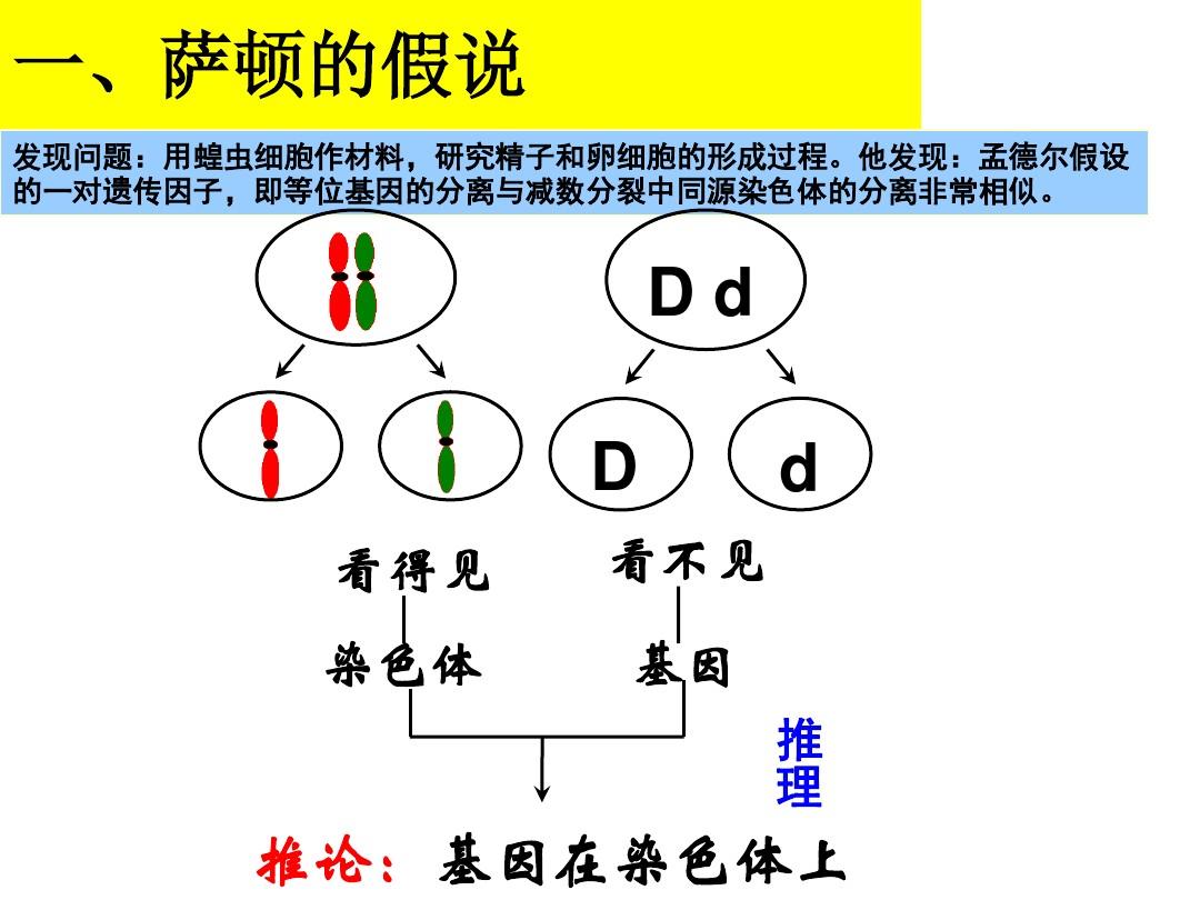 孩子学习成绩基因有关吗 遗传对学业影响多大