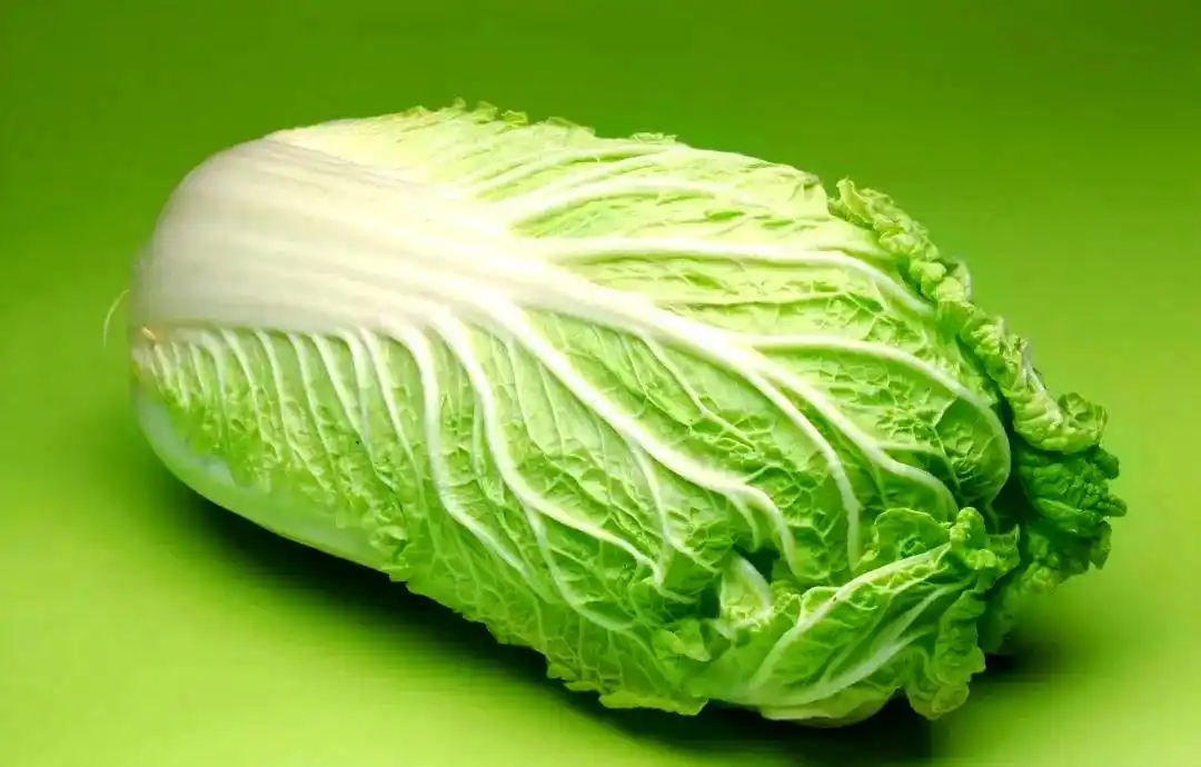 大白菜怎么做好吃