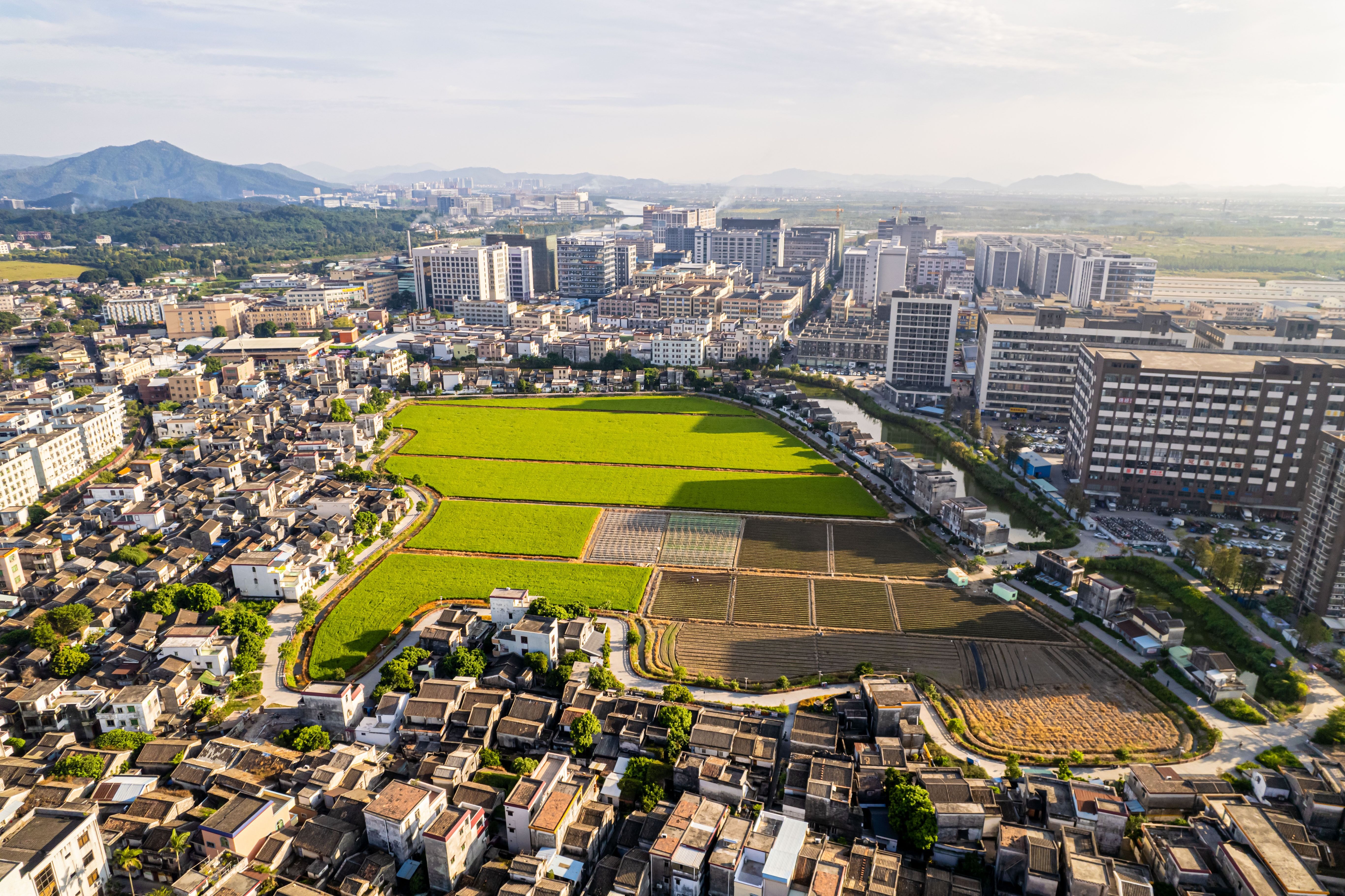 近日曝光的财务丑闻,中山大涌那里有爱情