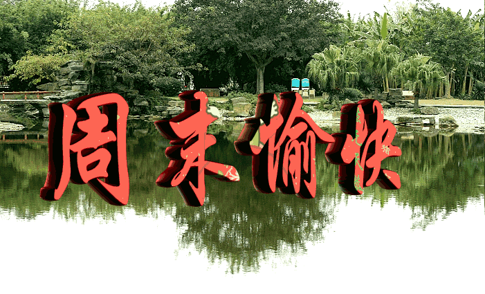 周末去哪找茶馆？3公里内省30%预算的找店攻略