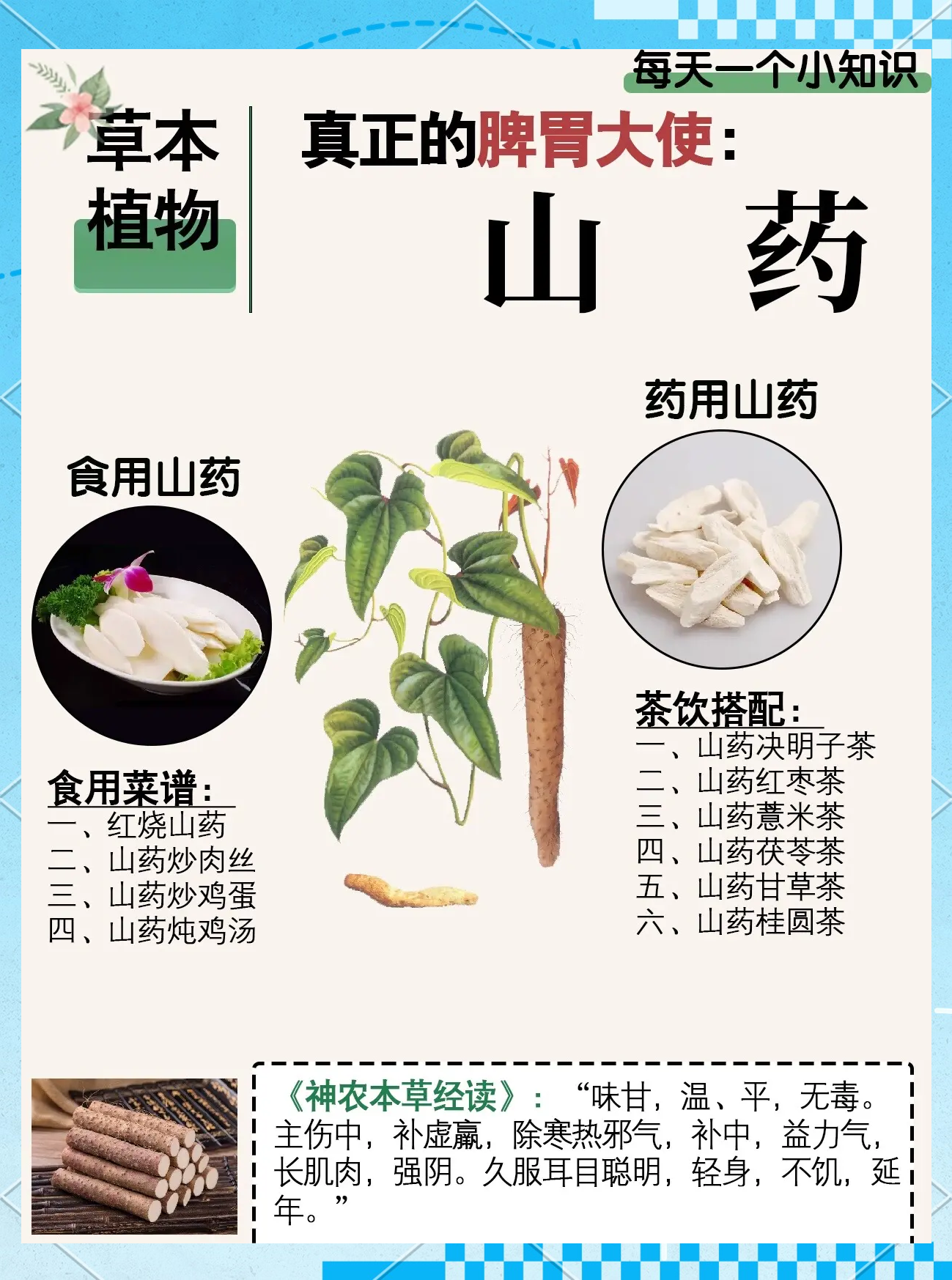 山药的功效与作用