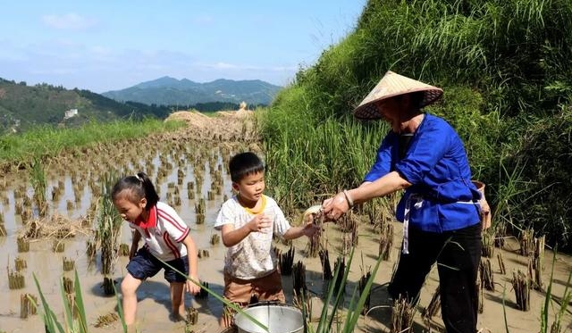 如何在成都省30%品茶预算？解锁本地人私藏茶馆清单