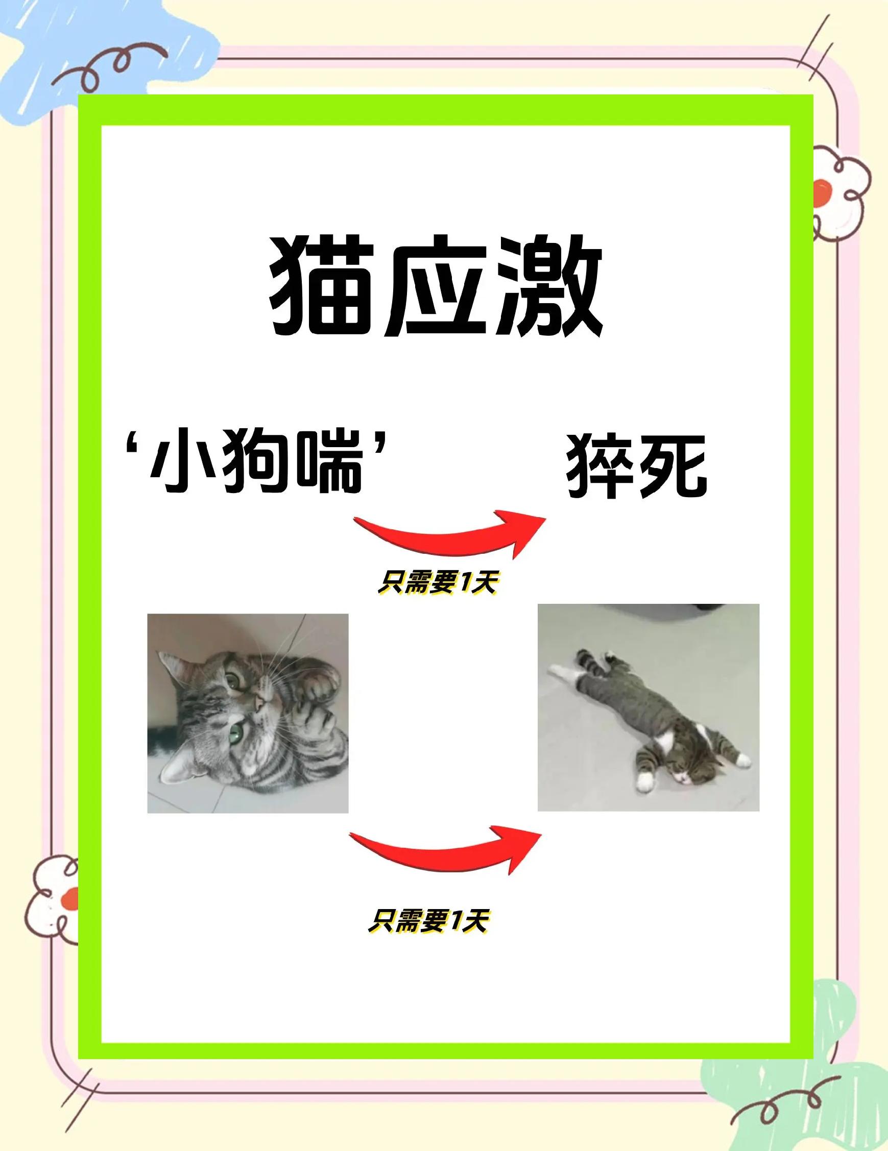 家里的猫主子为什么不怕蛇?...