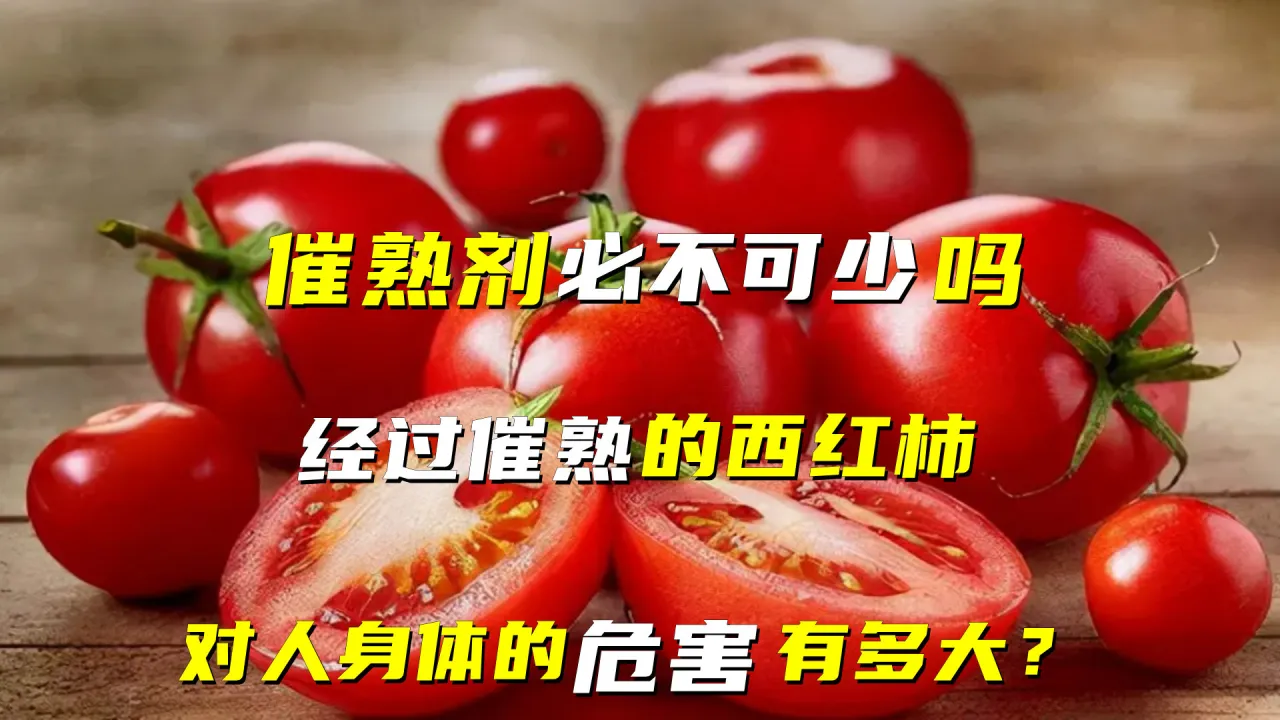 都说西红柿是被催红剂催红的，吃了对身体有危害吗？...