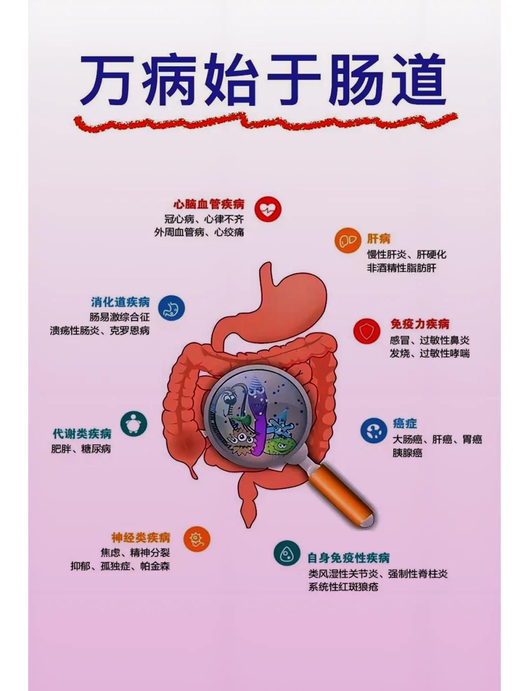 健康生活如何从“肠”计议?...