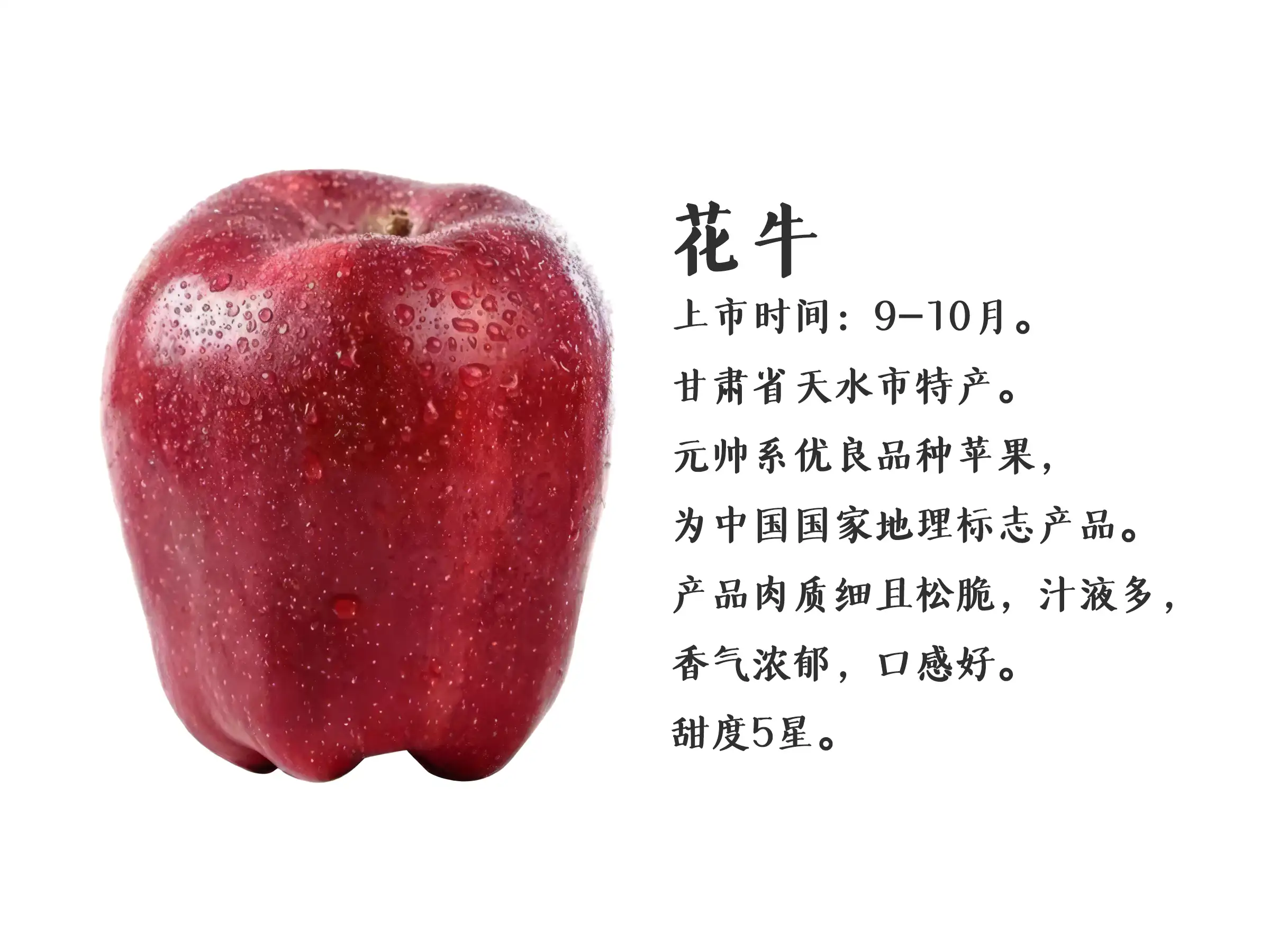 快用苹果助手官网