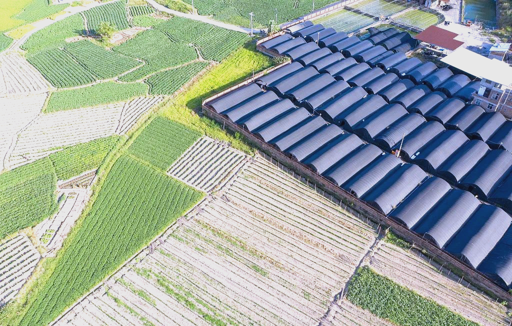 农业管理与农业经济管理专业区别 农业经济管理专业就业方向