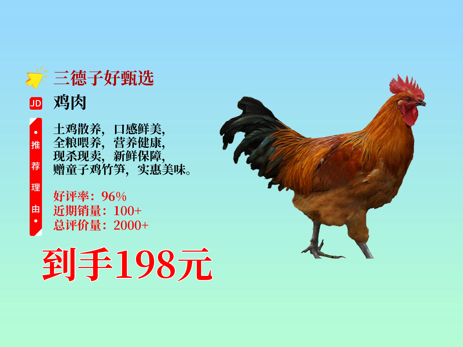 江西吉安土鸡多少钱一斤 土鸡价格一般是多少