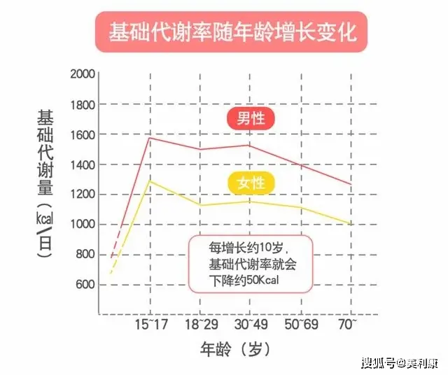 基础代谢率低瘦不下来 减肥困难原因与改善方法