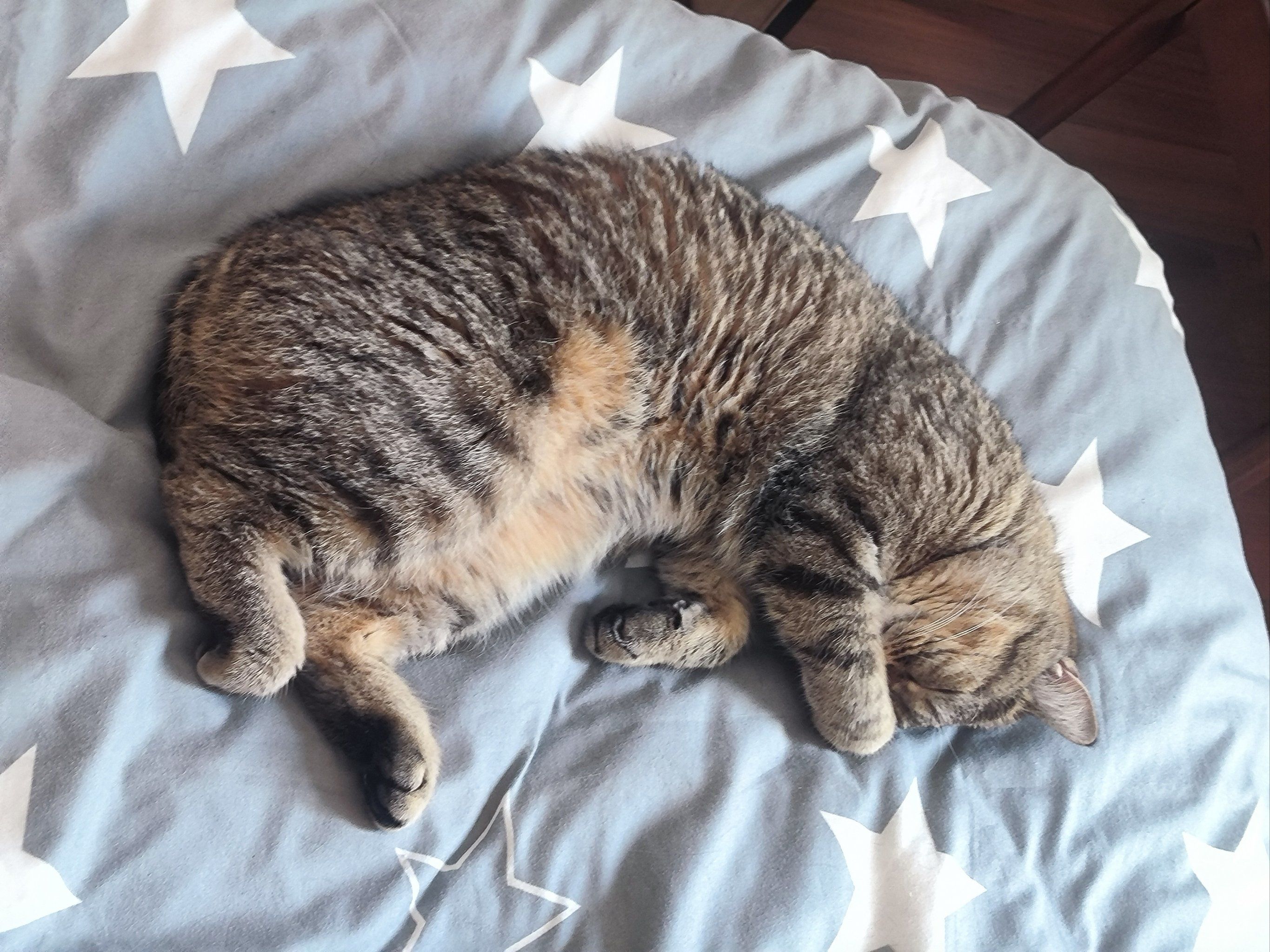 3小时不限次数快餐体验指南，效率与满足感的完美平衡