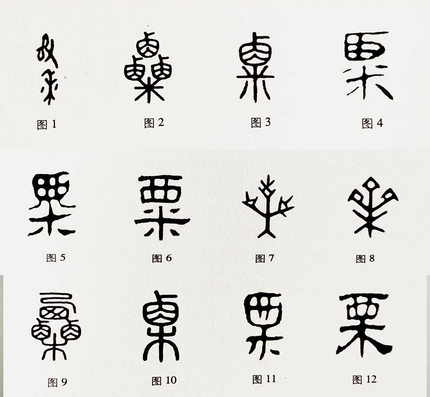 小米为什么是古代重农的代言？小米有哪些“大事”记...