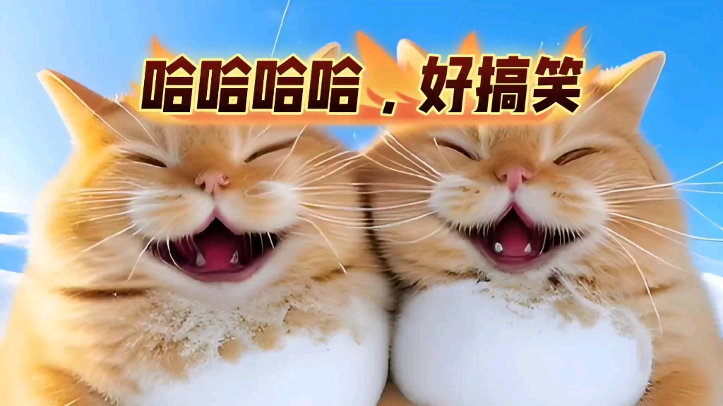 情侣之间有哪些特别搞笑的互动 情侣间那些爆笑日常是哪种