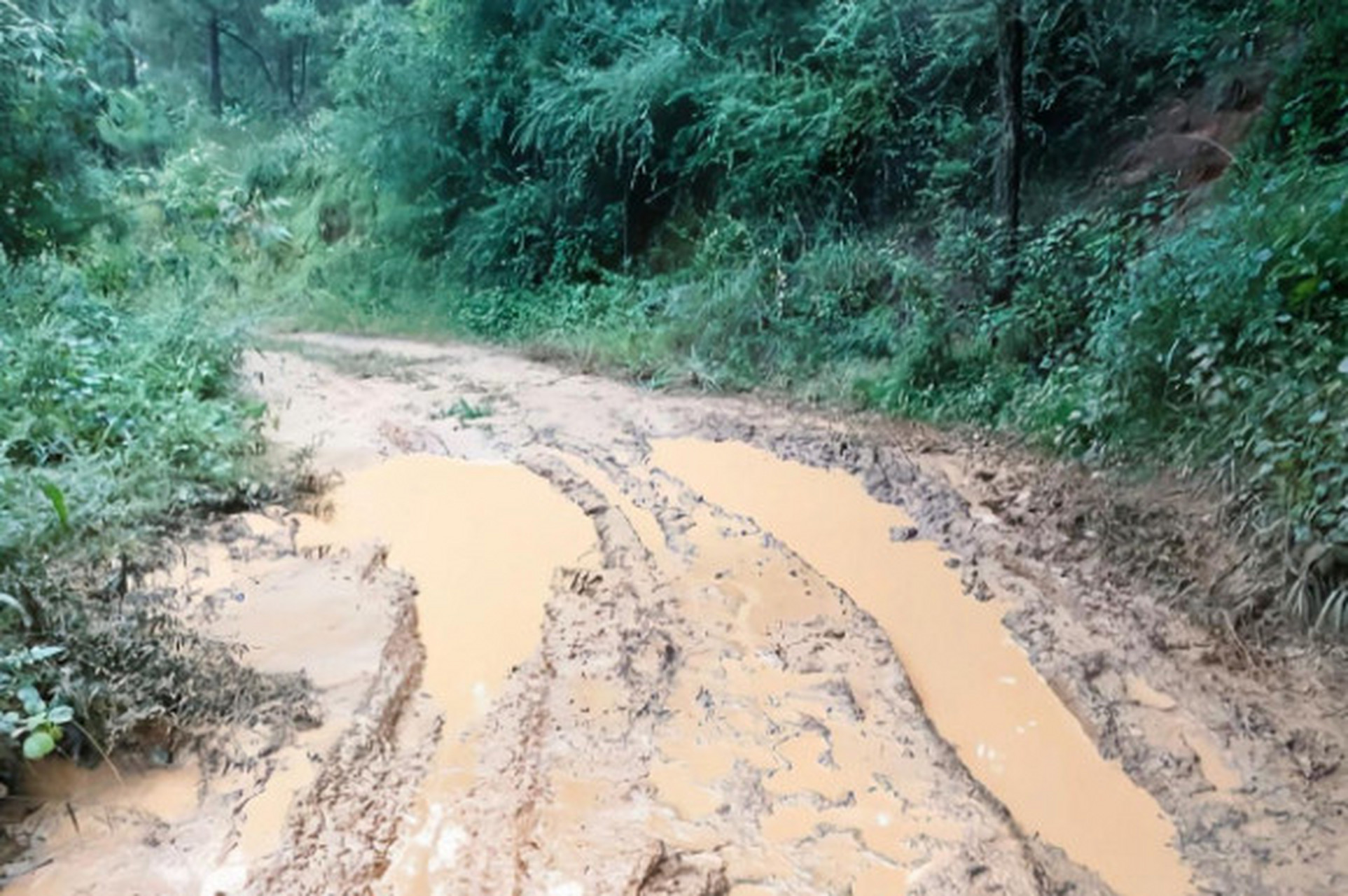 吐鲁番到家有飞机服务么