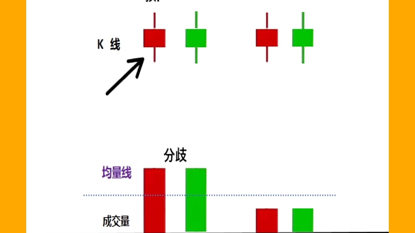 与你app约茶全攻略,从新手到行家的完整指南