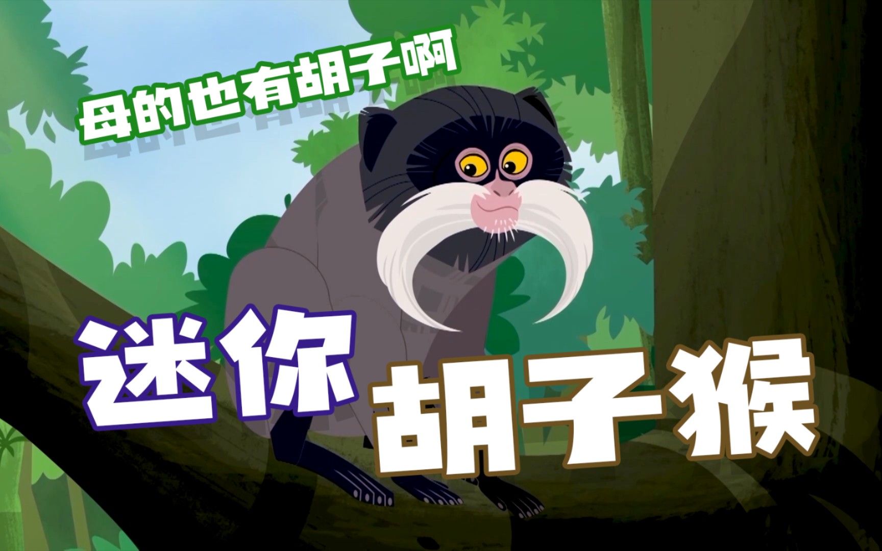沧桑白毛猴子是什么动画 白头叶猴为何如此珍贵