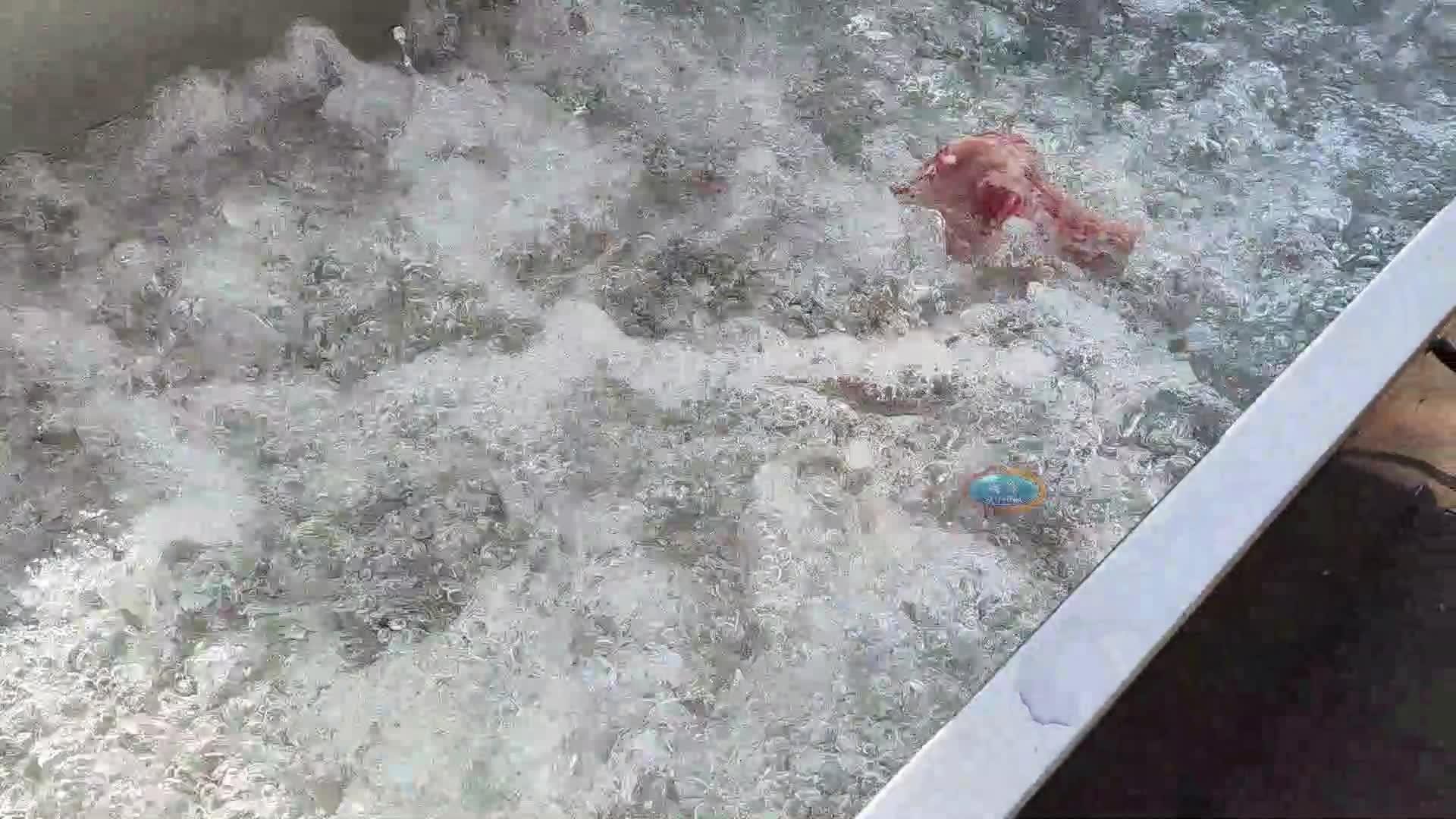 冻肉解冻最佳方法 化冻小妙招有哪些