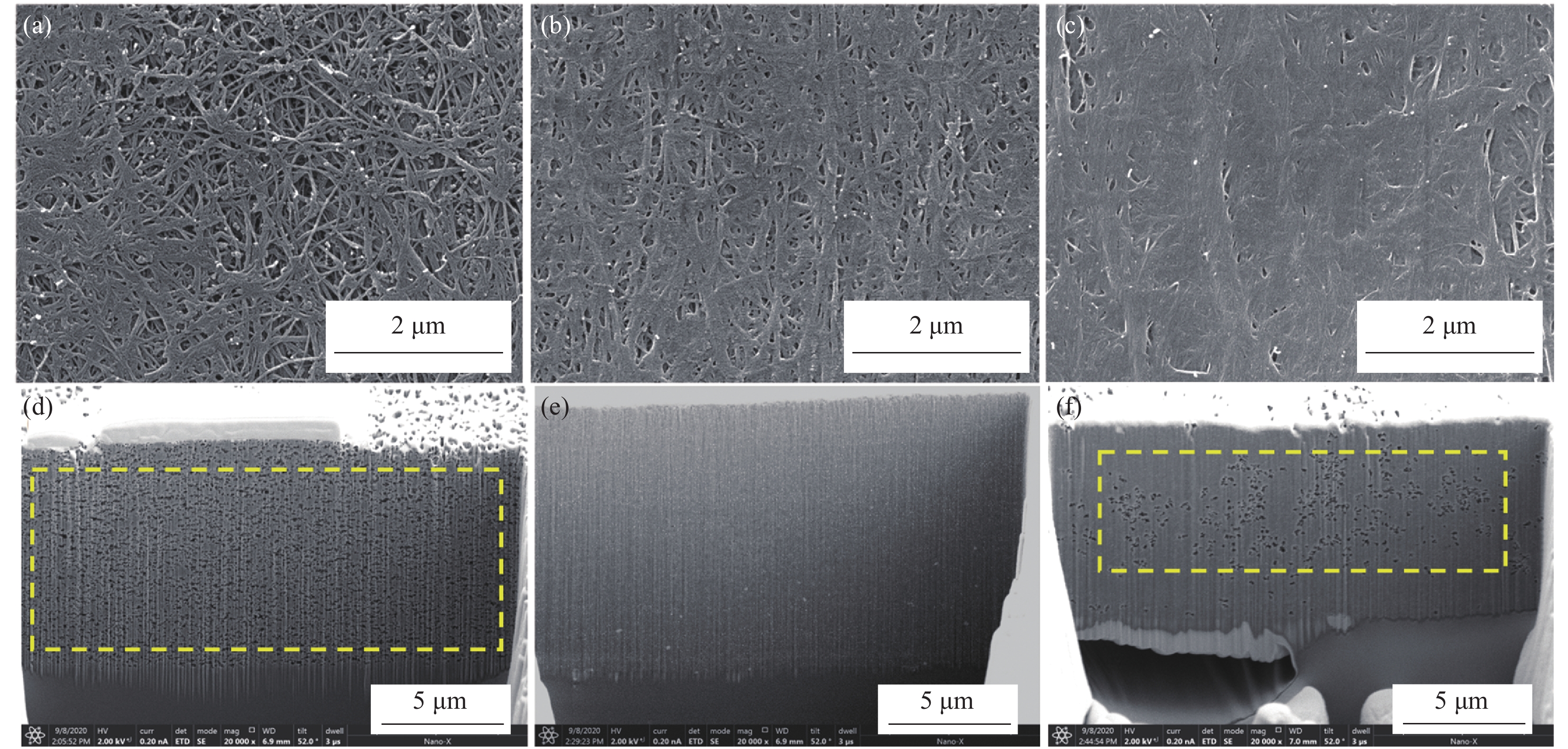 爬花楼兼职论坛全攻略：新手必看的灰色地带生存手册
