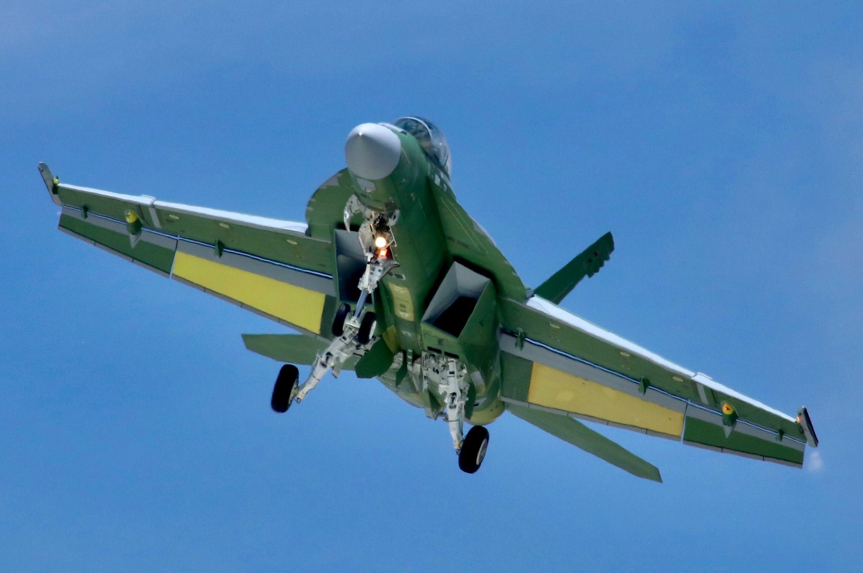 超级大黄蜂体型有多大 世界上体型最大的蜂类是什么