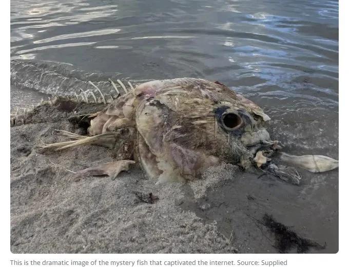 惊现：威客小姐官网打不开的原因解析及2024年实测应对方案