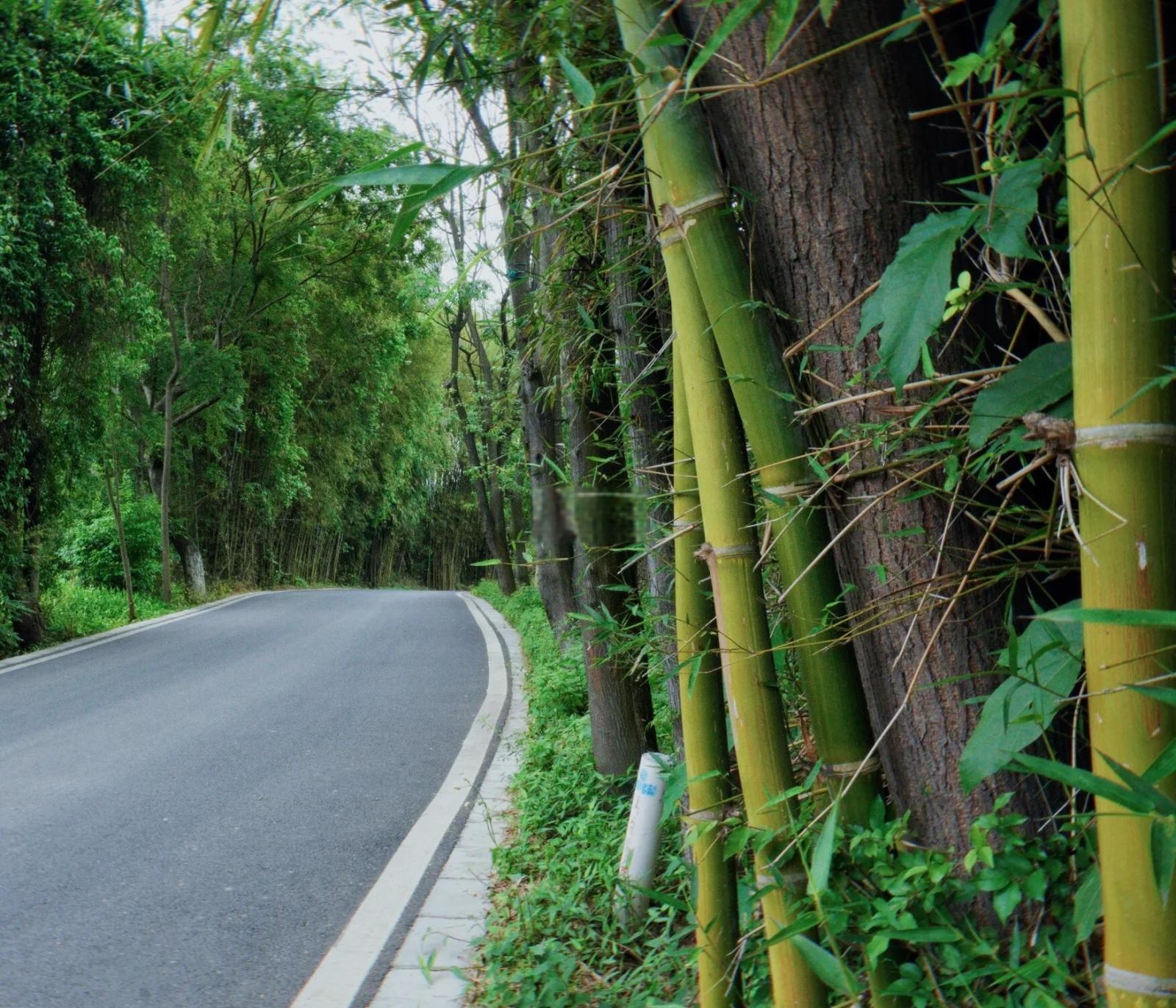 乐昌600块钱全套是哪些服务