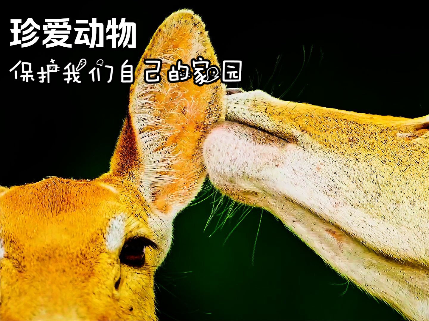 磁盘被写保护怎么办 磁盘写保护如何解除