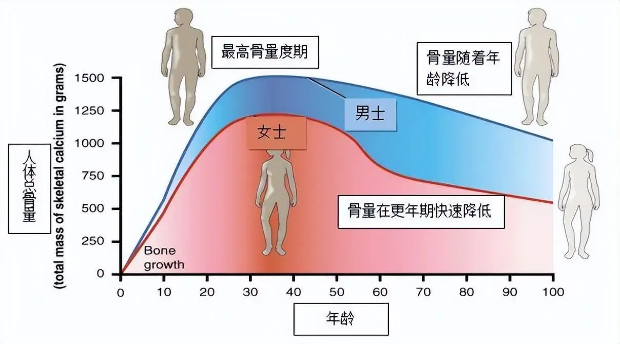 人类会越来越高吗？...